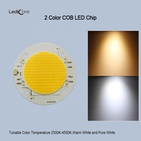 Haute CRI Ra>97 600W LED COB bicolore rouge/vert, puce LED 2700-7500K, réglable, dimmable, céramique en nitrure d'aluminium, éclairage de studio, 3 ans