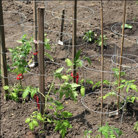 Prix d'usine – Cage de soutien inversée en fil de fer galvanisé pour tomates, treillis pour jardin domestique, application pour la protection des plantes