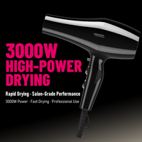 Sèche-cheveux professionnel FirePhoenix 6200 Max Pro avec logo personnalisé OEM ODM, moteur BLDC haute puissance 3000W, séchage rapide, pour salon et usage domestique