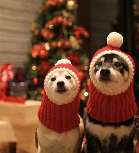 Nuovo <span class=keywords><strong>Design</strong></span> Doe <span class=keywords><strong>Pet</strong></span>: Cappello Natalizio per Cani, Berretto Invernale per Animali Domestici, Accessori per Cani, Felice Anno Nuovo - Product Image 6