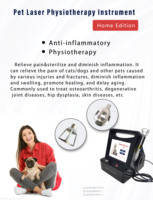 Laser diode vétérinaire 980 nm 15 W pour animaux domestiques, instrument de physiothérapie pour chiens et chats