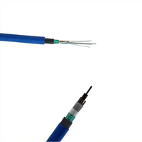 4 6 8 12 24 48 96 144 Core Cable de fibra óptica para minería ignífugo MGXTSV Cables de comunicación para comunicaciones mineras
