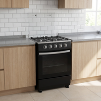 Cuisinière professionnelle autonome 4 feux gaz et électrique avec four et gril, en acier inoxydable, pour restaurant
