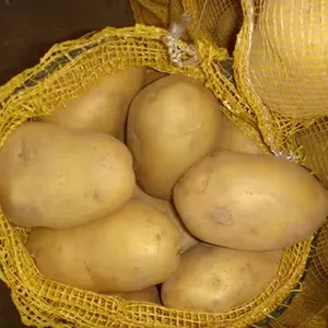 来自中国的公斤马铃薯供应商出口新鲜马铃薯