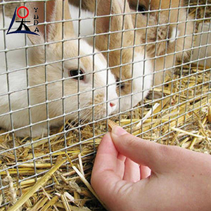 Malla de Alambre Soldada para Aves de Corral, Malla de Alambre Galvanizado Soldado, Cerca de Malla Metálica para Animales - Product Image 4