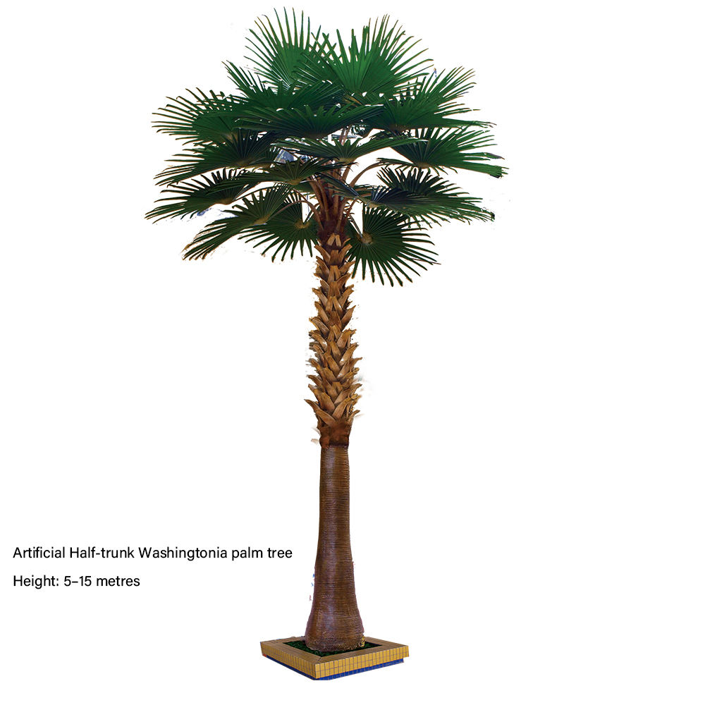 Demi-tronc de palmier Washingtonia