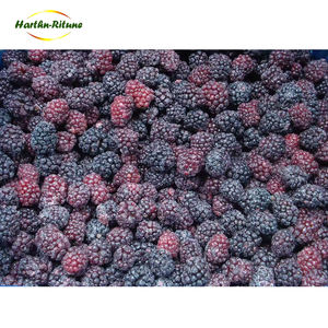 Groothandel Biologische Bevroren Braambes Bulk Iqf 10Kg Hele Vruchten Met Waterbehoud - Product Image 3