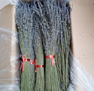 Commercio all'ingrosso di fabbrica a basso prezzo vendita calda artigianato naturale fiori secchi di lavanda per la decorazione di nozze evento domestico lavanda - Product Image 3