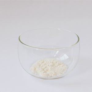 पालतू आंत स्वास्थ्य पूरक पोषण प्रोबायोटिक्स दस्त उपचार कुत्तों और बिल्लियों के लिए पाचन को बढ़ावा देता है - Product Image 6