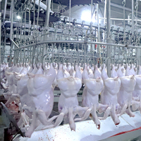Machinerie d'abattoir et outil d'abattage de volaille