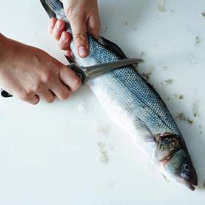 4-teiliges Angelwerkzeug-Kit Pistolengriff-Angel zange Fischfilet messer Fliegenfischer-Retraktor mit einziehbarem Lanyard - Product Image 3