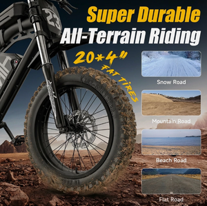 จักรยานไฟฟ้าวิบาก New Hikeep 20"x4 ยางอ้วน 3000W Peak E-Bike 52V 40Ah OEM/ODM สำหรับผู้ใหญ่ - Product Image 3