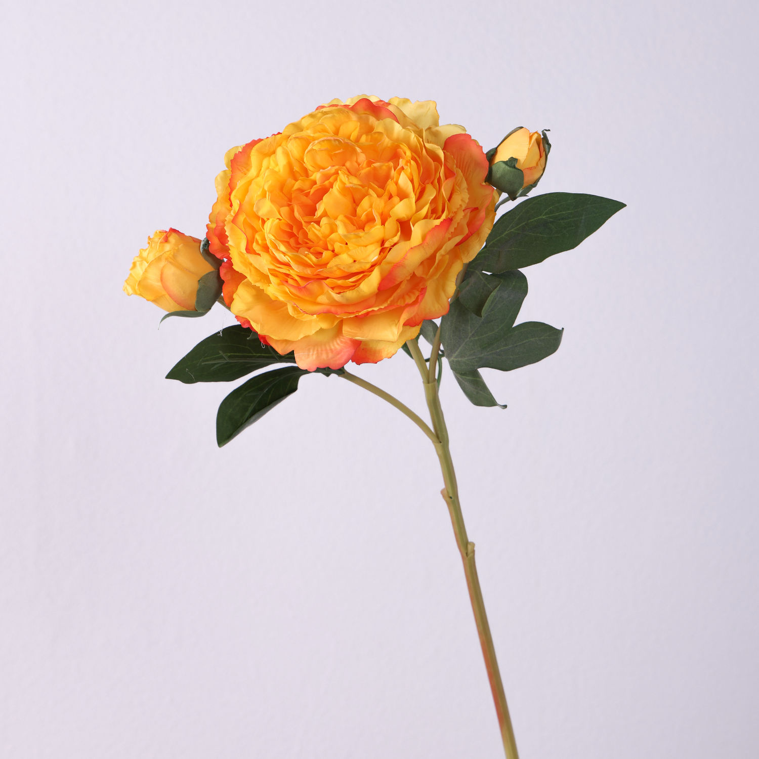 สีเหลือง