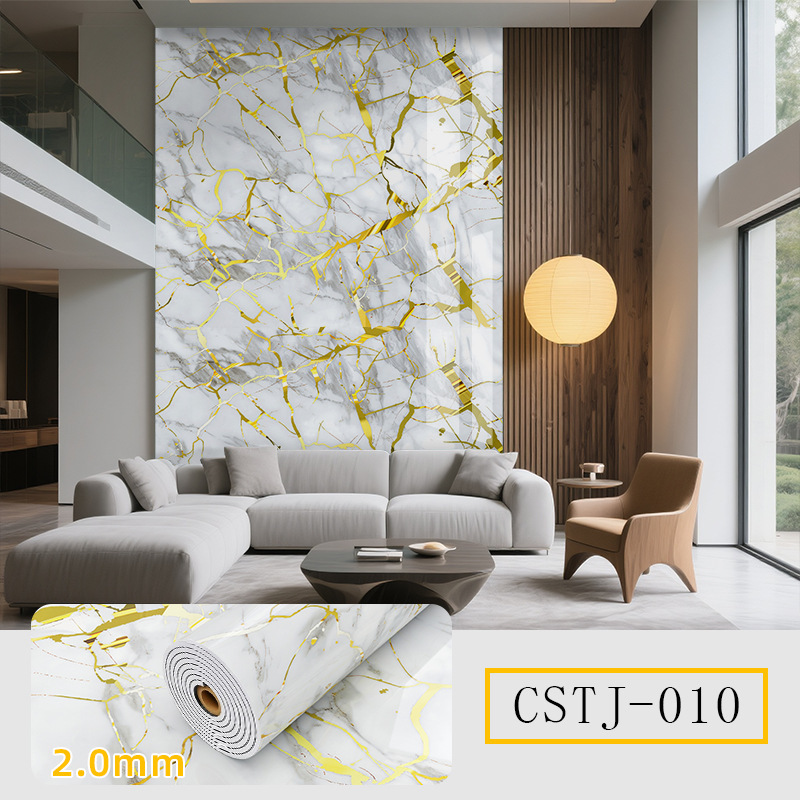 CSTJ010