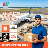 Günstiger DHL UPS Tür-zu-Tür-Service China Shenzhen nach Basel Flughafen BSL Schweiz Luftfracht-Spediteur Versandagent