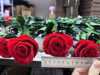 Fournisseur en gros de produits de mariage : Fleur artificielle de qualité supérieure, rose fraîche préservée avec tige dans une boîte ronde en PVC