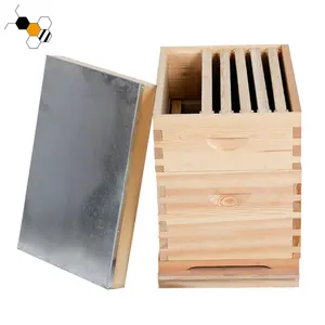 منتجات مستلزمات تربية النحل صندوق خلية خشبي للنحل العميق به 8 إطارات خلية على الطراز الأسترالي غير مجمعة
