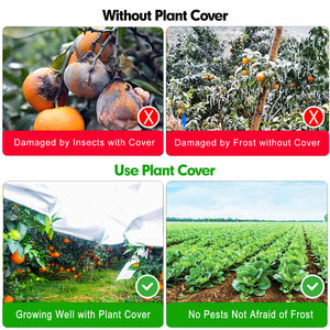 <span class=keywords><strong>Manta</strong></span> térmica blanca para invernadero de 20, 25 y 30 GSM para invierno, frutas agrícolas, verduras, árboles frutales, plántulas de flores que crecen - Product Image 5
