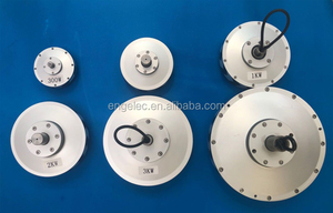 Générateur sans noyau 50W250W/100W450R/200W850R Dia. Aimant de 162 mm 200 W, autre aimant 200 W - Product Image 4