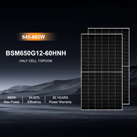 Module solaire Bluesun HeX 660W N-type TOPCon Bifacial à demi-cellules avec une efficacité de 24,43 %, anti-PID et faible consommation d'énergie pour toiture