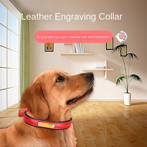 Collar para mascotas Cadena para perros con letras de acero inoxidable Venta caliente - Product Image 3