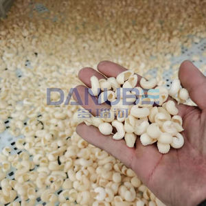 Máquina Secadora de Frutas Comercial para Fresas y Coco, Venta Directa de Fábrica 2026 - Product Image 2