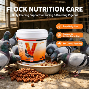 Suplemento para <span class=keywords><strong>Palomas</strong></span> Waylemo, Vitaminas Energéticas para Aves, Productos Nutricionales para <span class=keywords><strong>Palomas</strong></span> de Competición, OEM - Product Image 5