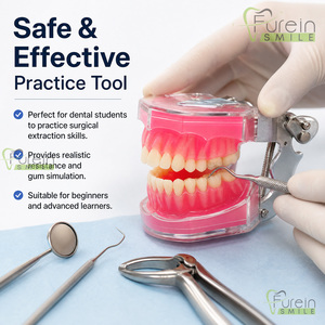 Modelo Dental Estándar para Estudio y Enseñanza con Todos los Dientes Extraíbles, Material de Gel de Sílice, Modelo de Dientes Suaves para Demostración Dental - Product Image 4
