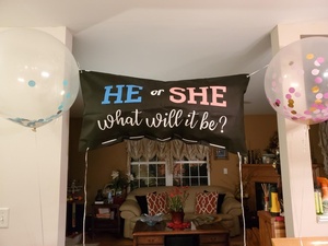 Kit per Festa di Rivelazione del Sesso con Sacchetto per Palloncini Rosa e Blu per Giochi di Baby Shower e Sfondo Fotografico - Product Image 4