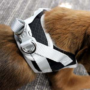 สายจูงสุนัขที่มีชีวิตชีวาสีดำสไตล์ห่อขนาดเล็กพิเศษ - Product Image 5