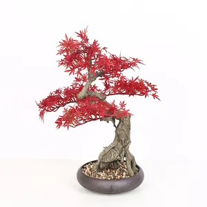 Yüksek kalite 2ft plastik yapay kırmızı akçaağaç bonsai ağacı alışveriş merkezi