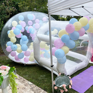Domo Hinchable Comercial para Fiestas Infantiles, Carpa de Jardín con Globos, Casa Hinchable Burbuja 202404, Domo Hinchable Comercial para Fiestas Infantiles - Product Image 6