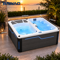 Bain froid et chaud à double zone personnalisé, bain de glace, spa chauffé, piscine d'hydrothérapie pour projets de bien-être commerciaux