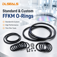 Joints toriques FFKM standard et personnalisés : Scellage haute performance de qualité semi-conductrice pour outils sous vide CVD/ALD et films minces