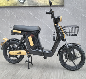 Motocicleta Eléctrica con Carga Rápida, Carga Completa <span class=keywords><strong>en</strong></span> 2 Horas, Autonomía de 60 km, Bicicleta Eléctrica para Servicio de Entrega - Product Image 5