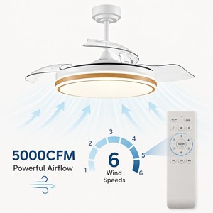 LED <b>Ceiling</b> <b>Fan</b> Light Factory Price Indoor Decorative Living Room Bedroom 42inch 6 Speed 3CCT <b>Remote</b> <b>Control</b> Retractable - Product Image 6