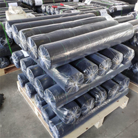 Rouleau de tissu UV de stabilisation Couvre-sol agricole Pépinière Membrane de contrôle des mauvaises herbes Tapis de mauvaises herbes tissé en PP noir