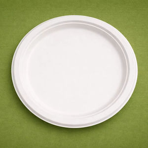 White Bagasse 11inch Round Plate <b>Disposable</b> Eco Friendly Serving Plate for Meals Parties Catering and Takeaway Food Packaging - Product Image 4