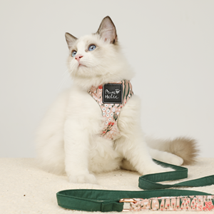Comfortable Cotton <b>Dog</b> Harness Personalized Cotton Cat Harness Elegant Fashion Cute Style Buckle Closure for Pets Wholesale OEM - Product Image 6