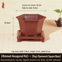 Pot en résine de style chinois, carré et hexagonal, pour orchidées Phalaenopsis, 30 cm, utilisation sur bureau, vente directe d'usine