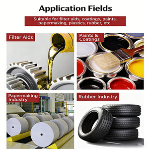 Diatomita Porosa de Alta Calidad de 325 Malla, se Utiliza como Auxiliar de Filtración <span class=keywords><strong>y</strong></span> en Revestimientos - Product Image 4