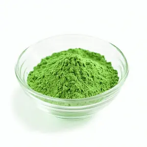 CSBIO Factory Supplier High Quality Plant Extract benefits of moringa leaf powder