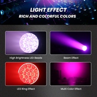 Équipement DJ : Projecteurs LED Wash Mobiles 19x15W RGBW avec Zoom pour Discothèque, Club, Soirée, Lumière de Scène DMX avec Bande LED