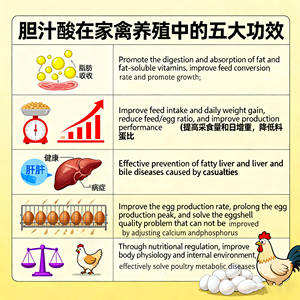 Suplemento de Ácido Biliar para Alimentación de Ganado, Mejora la Absorción de Nutrientes, Apto para Aves de Corral/Aquicultura/Animales de Granja - Product Image 2