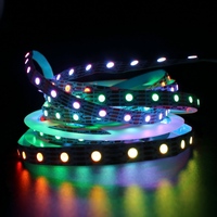 Bande lumineuse LED SMD adressable personnalisée IP65/IP67/IP68 étanche 12V WS 2815 RGBIC WS2815 60LEDs/m
