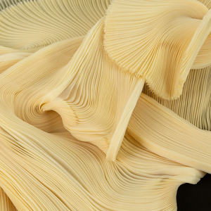 Tela de Organza Plisada Blanca con Arrugas Pequeñas, Nueva de <span class=keywords><strong>2026</strong></span>, Rígida, de Forma Ancha, para Decoración de Escenarios, Vestidos de Moda Hechos a Mano, Tela de Diseñador - Product Image 5