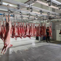 Ligne d'abattage clé en main pour moutons et chèvres, équipement moderne d'abattoir pour la transformation de la viande