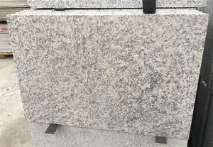 بلاط جرانيت أبيض مصقول مقاس 60 × 30 سم لممرات السيارات، ألواح جرانيت بيضاء 3 سم، جرانيت باري أبيض مقطوع حسب المقاس - Product Image 2