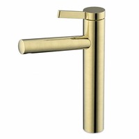 Robinet de lavabo en acier inoxydable 304, sans plomb, matériau de qualité alimentaire, anti-rouille, mitigeur haut pour lavabo de salle de bain, eau chaude et froide