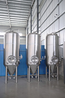 Équipement de Fermentation pour Boissons Gazeuses, Bière et Vin Rouge de 1000L